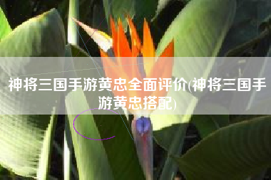 神将三国手游黄忠全面评价(神将三国手游黄忠搭配)