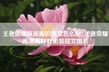 王者荣耀高渐离的铭文怎么配_王者荣耀高渐离打野出装铭文图片