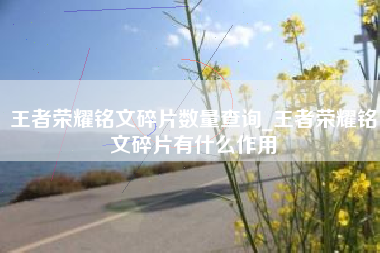 王者荣耀铭文碎片数量查询_王者荣耀铭文碎片有什么作用