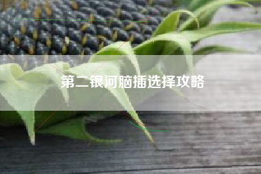第二银河脑插选择攻略