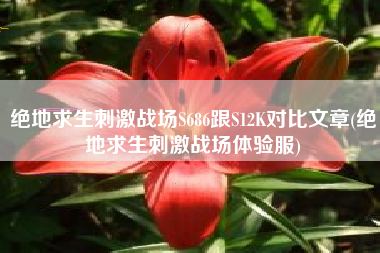 绝地求生刺激战场S686跟S12K对比文章(绝地求生刺激战场体验服)