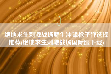 绝地求生刺激战场野牛冲锋枪子弹选择推荐(绝地求生刺激战场国际服下载)