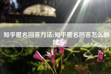 知乎匿名回答方法(知乎匿名回答怎么删除)