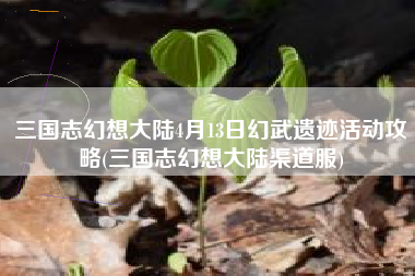 三国志幻想大陆4月13日幻武遗迹活动攻略(三国志幻想大陆渠道服)