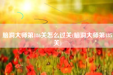 脑洞大师第186关怎么过关(脑洞大师第185关)
