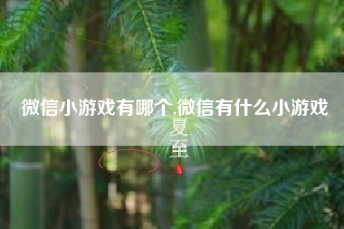微信小游戏有哪个,微信有什么小游戏