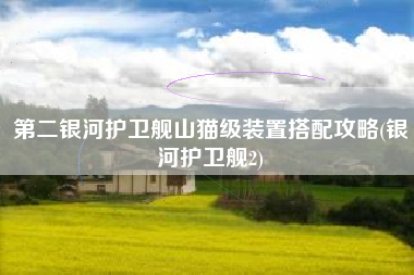 第二银河护卫舰山猫级装置搭配攻略(银河护卫舰2)