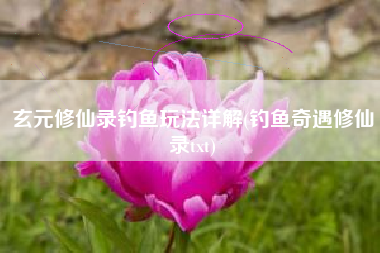 玄元修仙录钓鱼玩法详解(钓鱼奇遇修仙录txt)