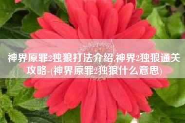 神界原罪2独狼打法介绍,神界2独狼通关攻略-(神界原罪2独狼什么意思)