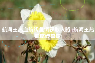 航海王热血航线鱼饵获取攻略 (航海王热血航线鲁兹)