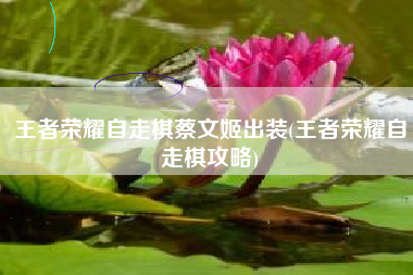 王者荣耀自走棋蔡文姬出装(王者荣耀自走棋攻略)