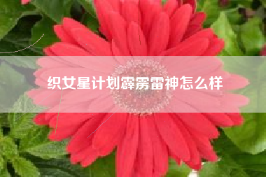 织女星计划霹雳雷神怎么样