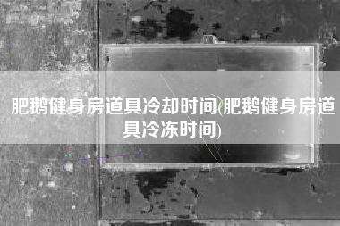 肥鹅健身房道具冷却时间(肥鹅健身房道具冷冻时间)