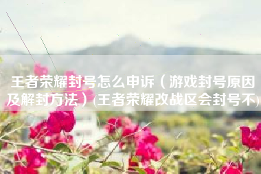 王者荣耀封号怎么申诉（游戏封号原因及解封方法）(王者荣耀改战区会封号不)