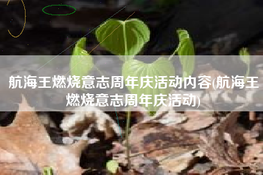 航海王燃烧意志周年庆活动内容(航海王燃烧意志周年庆活动)