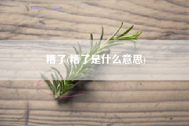 糟了(糟了是什么意思)