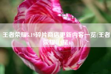 王者荣耀5.19碎片商店更新内容一览(王者荣耀519星)