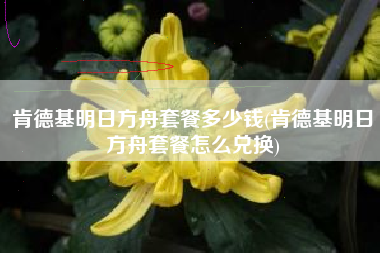 肯德基明日方舟套餐多少钱(肯德基明日方舟套餐怎么兑换)