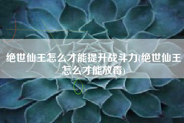 绝世仙王怎么才能提升战斗力(绝世仙王怎么才能放毒)