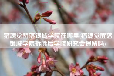猎魂觉醒落银城学院在哪里(猎魂觉醒落银城学院拆除后学院研究会保留吗)