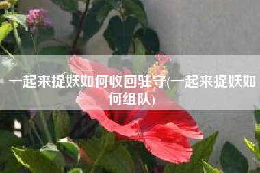 一起来捉妖如何收回驻守(一起来捉妖如何组队)