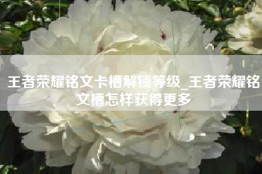 王者荣耀铭文卡槽解锁等级_王者荣耀铭文槽怎样获得更多