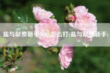 盐与献祭新手BOSS怎么打(盐与献祭新手)