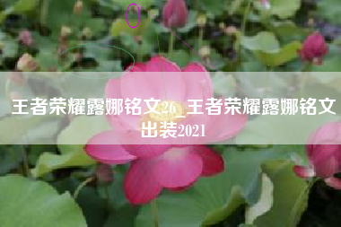 王者荣耀露娜铭文26_王者荣耀露娜铭文出装2021