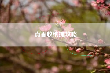 真香收纳摊攻略