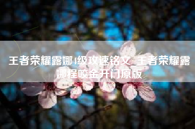 王者荣耀露娜4级攻速铭文_王者荣耀露娜程咬金开门原版