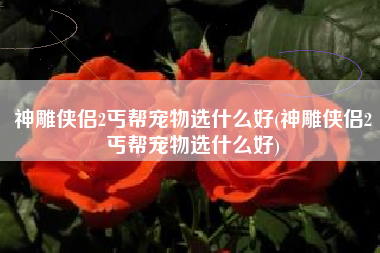 神雕侠侣2丐帮宠物选什么好(神雕侠侣2丐帮宠物选什么好)