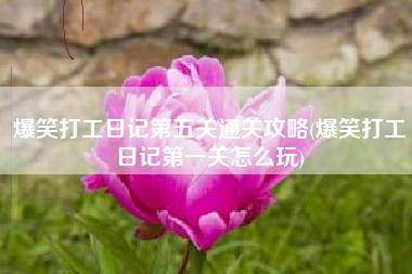 爆笑打工日记第五关通关攻略(爆笑打工日记第一关怎么玩)
