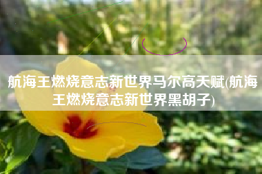 航海王燃烧意志新世界马尔高天赋(航海王燃烧意志新世界黑胡子)
