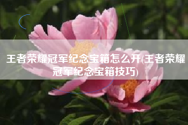 王者荣耀冠军纪念宝箱怎么开(王者荣耀冠军纪念宝箱技巧)
