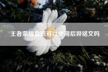 王者荣耀鲁班可以使用后羿铭文吗
