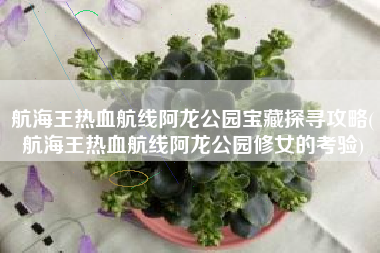 航海王热血航线阿龙公园宝藏探寻攻略(航海王热血航线阿龙公园修女的考验)