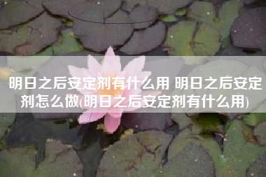 明日之后安定剂有什么用 明日之后安定剂怎么做(明日之后安定剂有什么用)