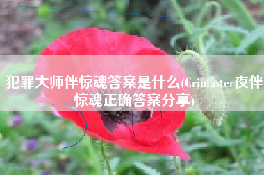 犯罪大师伴惊魂答案是什么(Crimaster夜伴惊魂正确答案分享)