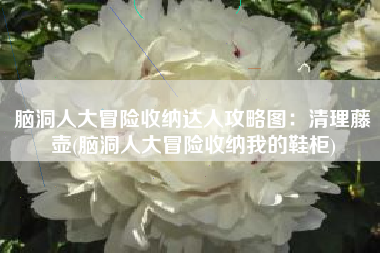 脑洞人大冒险收纳达人攻略图：清理藤壶(脑洞人大冒险收纳我的鞋柜)