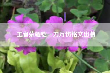 王者荣耀铠一刀万伤铭文出装
