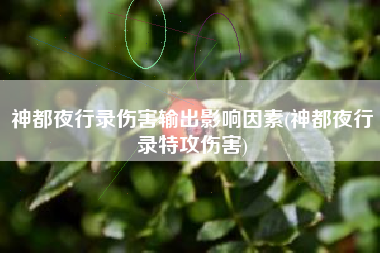 神都夜行录伤害输出影响因素(神都夜行录特攻伤害)