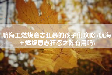 航海王燃烧意志狂暴的孩子们攻略 (航海王燃烧意志狂怒之阵有用吗)