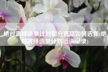 绝对演绎造梦计划部分选项如何选择(绝对演绎造梦计划培训记录)