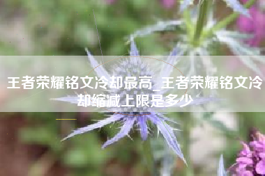 王者荣耀铭文冷却最高_王者荣耀铭文冷却缩减上限是多少