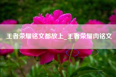 王者荣耀铭文都放上_王者荣耀肉铭文