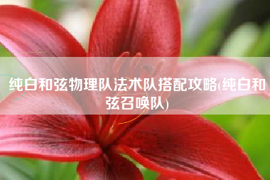 纯白和弦物理队法术队搭配攻略(纯白和弦召唤队)