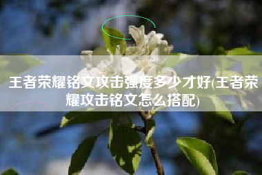 王者荣耀铭文攻击强度多少才好(王者荣耀攻击铭文怎么搭配)