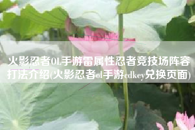 火影忍者OL手游雷属性忍者竞技场阵容打法介绍(火影忍者ol手游cdkey兑换页面)
