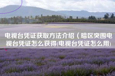 电视台凭证获取方法介绍（暗区突围电视台凭证怎么获得(电视台凭证怎么用)