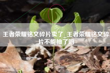 王者荣耀铭文碎片卖了_王者荣耀铭文碎片不能抽了吗